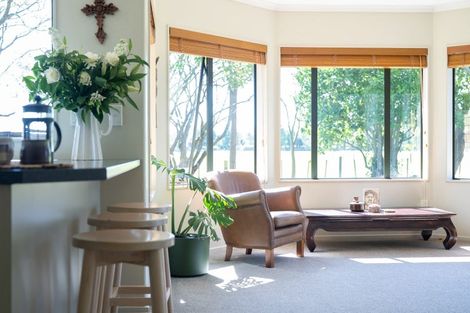 Photo of property in 446 Mystery Creek Road, Ohaupo, 3881