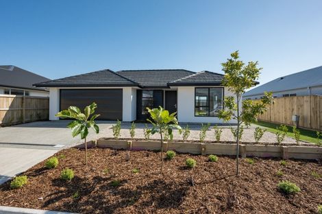 Photo of property in 22 Shepperton Street, Appleby, Richmond, 7020