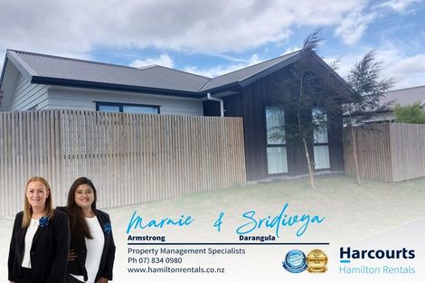 Photo of property in 2b Sheila Place, Dinsdale, Hamilton, 3204