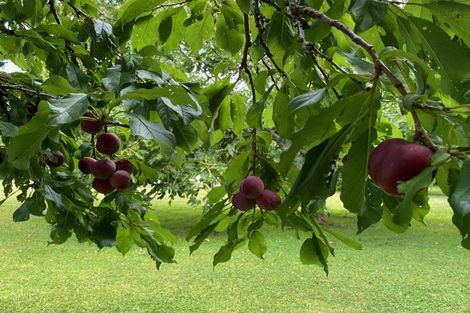 Photo of property in 49 Vista Road, Ohau, Levin, 5570