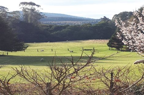 Photo of property in 728 Whangamata Road, Kinloch, Taupo, 3377