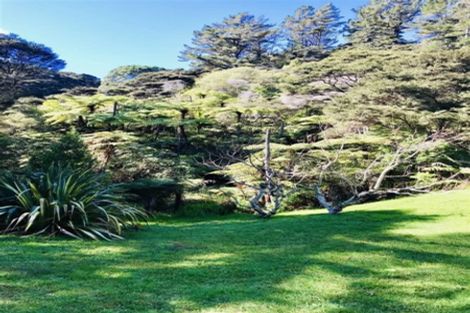 Photo of property in 850 Buffalo Road, Coromandel, 3506