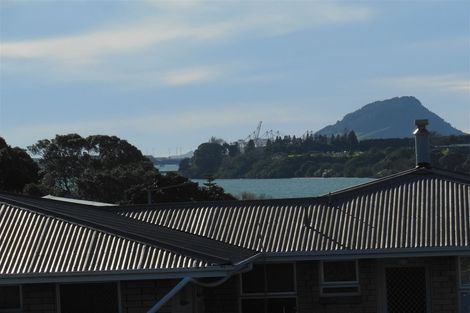 Photo of property in 114b Te Hono Street, Maungatapu, Tauranga, 3112