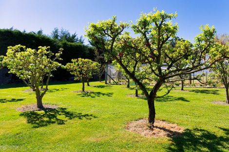 Photo of property in 871 Inland Kaikoura Road, Inland Road, Kaikoura, 7373