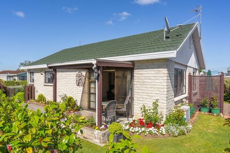 Photo of property in 97k High Street, Solway, Masterton, 5810