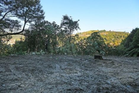 Photo of property in 47a Gillespies Road, Birchville, Upper Hutt, 5018