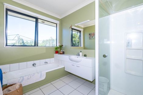 Photo of property in 119 Orari Back Road, Geraldine, 7992