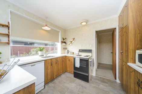 Photo of property in 117 Roy Street, Palmerston North, 4410