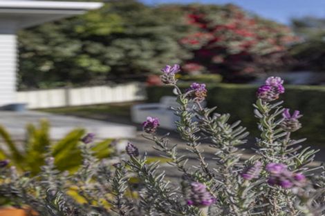 Photo of property in 52 Kimihia Road, Huntly, 3700