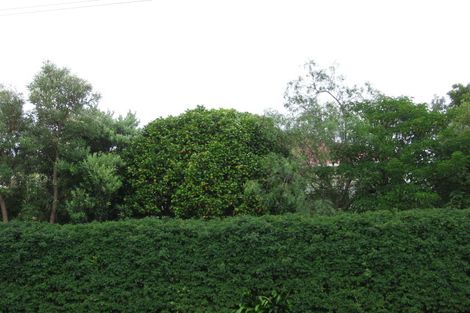 Photo of property in 112a Richardson Road, Mount Albert, Auckland, 1025