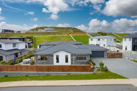 Photo of property in 89 John Burke Drive, Aotea, Porirua, 5024