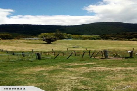 Photo of property in 986 Whangaripo Valley Road, Whangaripo, Wellsford, 0972