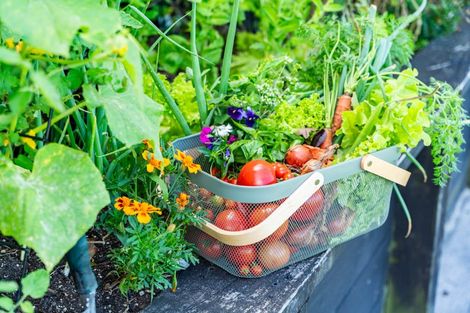 Photo of property in 3 Bickerstaffe Road, Maungaturoto, 0520