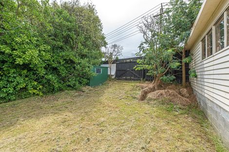 Photo of property in 74 Koromiko Road, Gonville, Whanganui, 4501