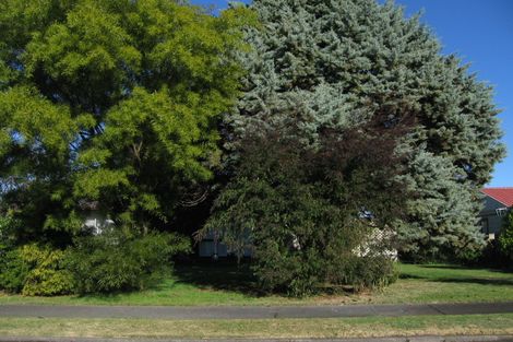 Photo of property in 33 Usherwood Crescent, Akina, Hastings, 4122