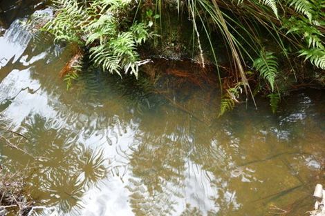 Photo of property in 234 Kerr Road, Parua Bay, Onerahi, 0192