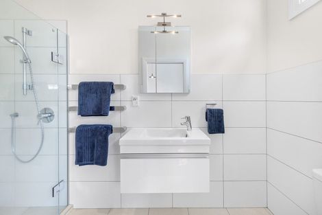 Photo of property in 78 Esplanade Road, Mount Eden, Auckland, 1024
