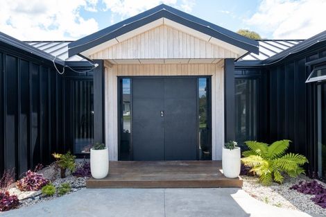 Photo of property in 83 Mcelwee Street, Jervoistown, Napier, 4112