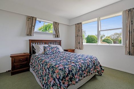 Photo of property in 99 Grove Street, Tinwald, Ashburton, 7700