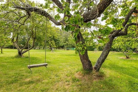 Photo of property in 285 Waihaorunga Road, Waihaorunga, Waimate, 7977