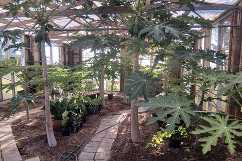 Photo of property in 156 Petley Road, Paparoa, 0571