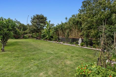 Photo of property in 120 Goring Street, Opotiki, 3122