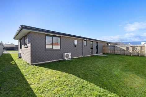 Photo of property in 111 Hinemoa Street, Levin, 5510