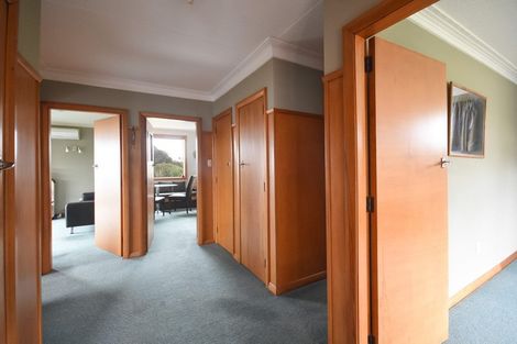 Photo of property in 113 Oakwood Avenue, Balaclava, Dunedin, 9011