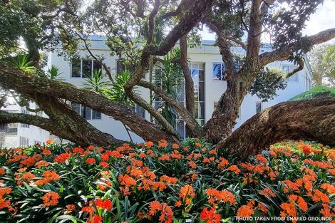 Photo of property in 1/7 The Promenade, Takapuna, Auckland, 0622