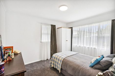 Photo of property in 56 Salisbury Street, Levin, 5510