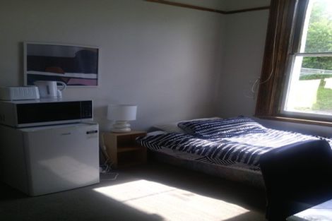 Photo of property in 390 Stuart Street, Roslyn, Dunedin, 9010