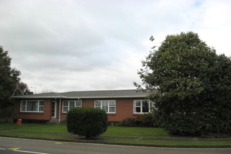 Photo of property in 12 Cardiff Street, Levin, 5510