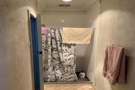 Photo of property in 137 Riselaw Road, Calton Hill, Dunedin, 9012