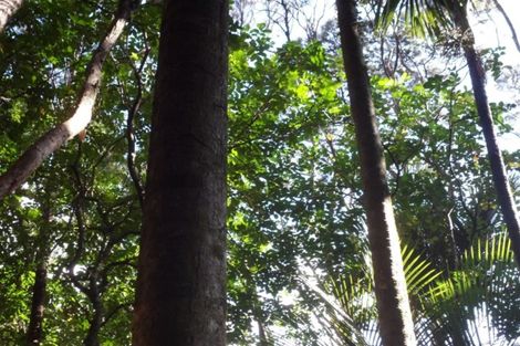 Photo of property in 27 Omatai Road, Peria, Kaitaia, 0482