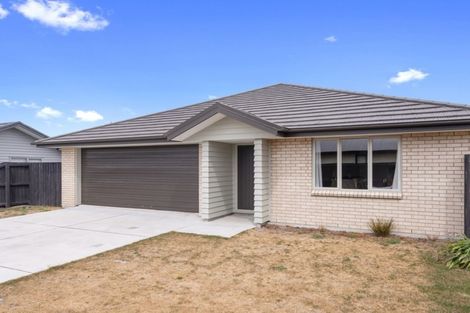 Photo of property in 38 Karere Avenue, Marshland, Christchurch, 8083