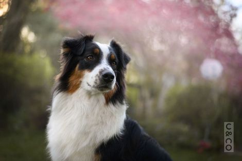 Photo of property in 93 Lloyd Road, Riverhead, Albany, 0793