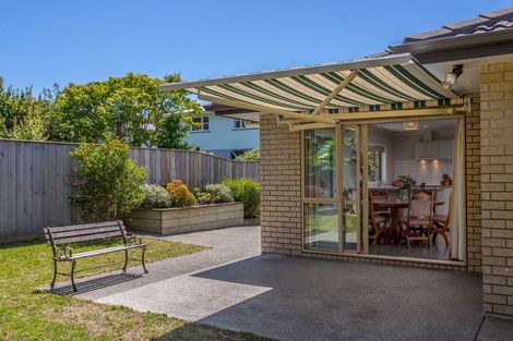 Photo of property in 23b Totara Street, Lansdowne, Masterton, 5810