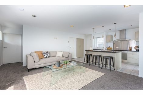 Photo of property in 496b Barbadoes Street, Edgeware, Christchurch, 8013