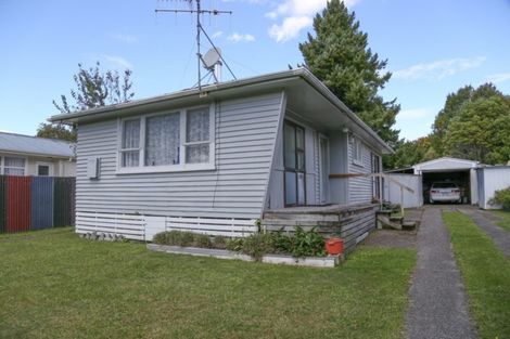 Photo of property in 51 Puataata Road, Turangi, 3334