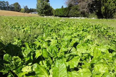 Photo of property in 62 Nonoti Road, Cheviot, 7383