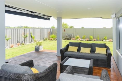 Photo of property in 36 Pelorus Avenue, Poraiti, Napier, 4112