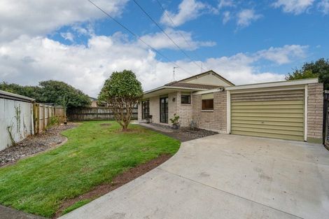 Photo of property in 52 Ascot Road, Chartwell, Hamilton, 3210