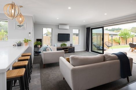 Photo of property in 225 Taylor Pass Road, Witherlea, Blenheim, 7201