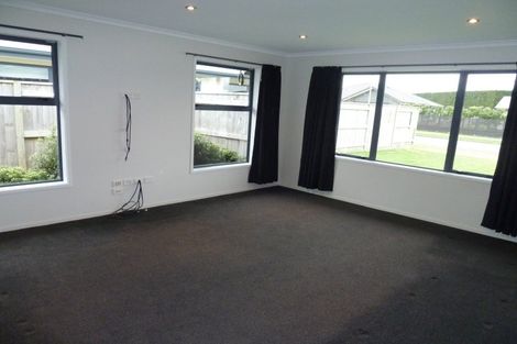 Photo of property in 17 Accolade Street, Feilding, 4702