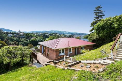 Photo of property in 113 Maryhill Terrace, Maryhill, Dunedin, 9011