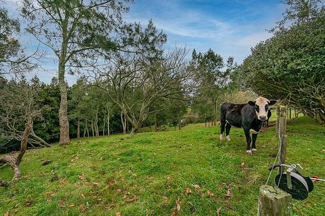 Photo of property in 87 Pukekauri Road, Waikino, Waihi, 3682