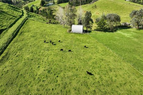 Photo of property in 533 Wright Road, Aongatete, Katikati, 3181