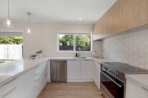 Photo of property in 6a Salisbury Avenue, Terrace End, Palmerston North, 4410