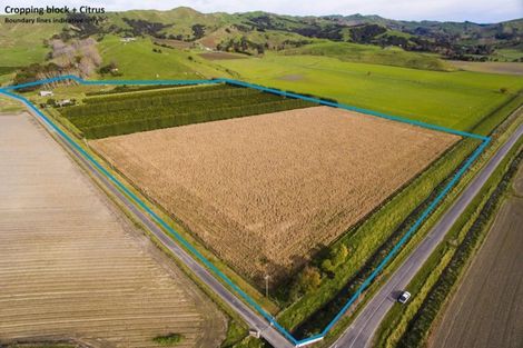 Photo of property in 52 Saddler Road, Muriwai, Gisborne, 4072