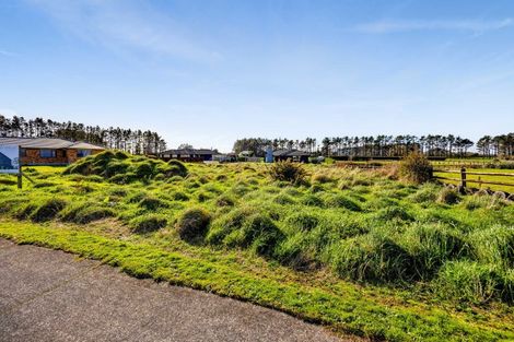 Photo of property in 115 Mercade Close, Stratford, 4332